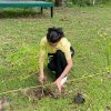 กิจกรรมปลูกต้นไม้เฉลิมพระเกียรติ เพื่อถวายเป็นพระราชกุศล