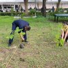 กิจกรรมปลูกต้นไม้เฉลิมพระเกียรติ เพื่อถวายเป็นพระราชกุศล