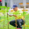 กิจกรรมปลูกต้นไม้เฉลิมพระเกียรติ เพื่อถวายเป็นพระราชกุศล