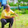 กิจกรรมปลูกต้นไม้เฉลิมพระเกียรติ เพื่อถวายเป็นพระราชกุศล