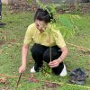 กิจกรรมปลูกต้นไม้เฉลิมพระเกียรติ เพื่อถวายเป็นพระราชกุศล