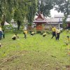 กิจกรรมปลูกต้นไม้เฉลิมพระเกียรติ เพื่อถวายเป็นพระราชกุศล