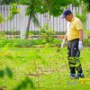 กิจกรรมปลูกต้นไม้เฉลิมพระเกียรติ เพื่อถวายเป็นพระราชกุศล
